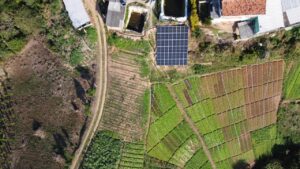 f0b4dedd-5605-4755-8ea4-e55354988c48